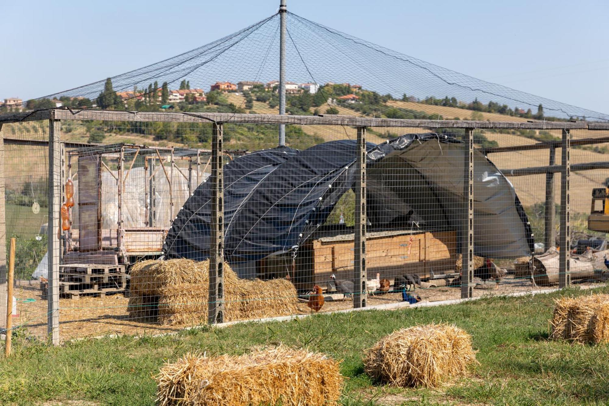 Bio Fattoria Mula D'oro *