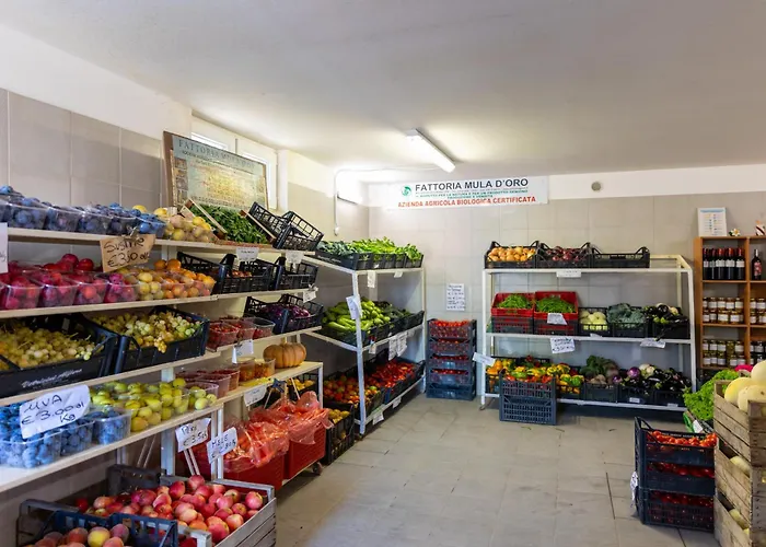 Bio Fattoria Mula D\'Oro - Biofattoriamuladoro It - Organic Food, Nature & Relax