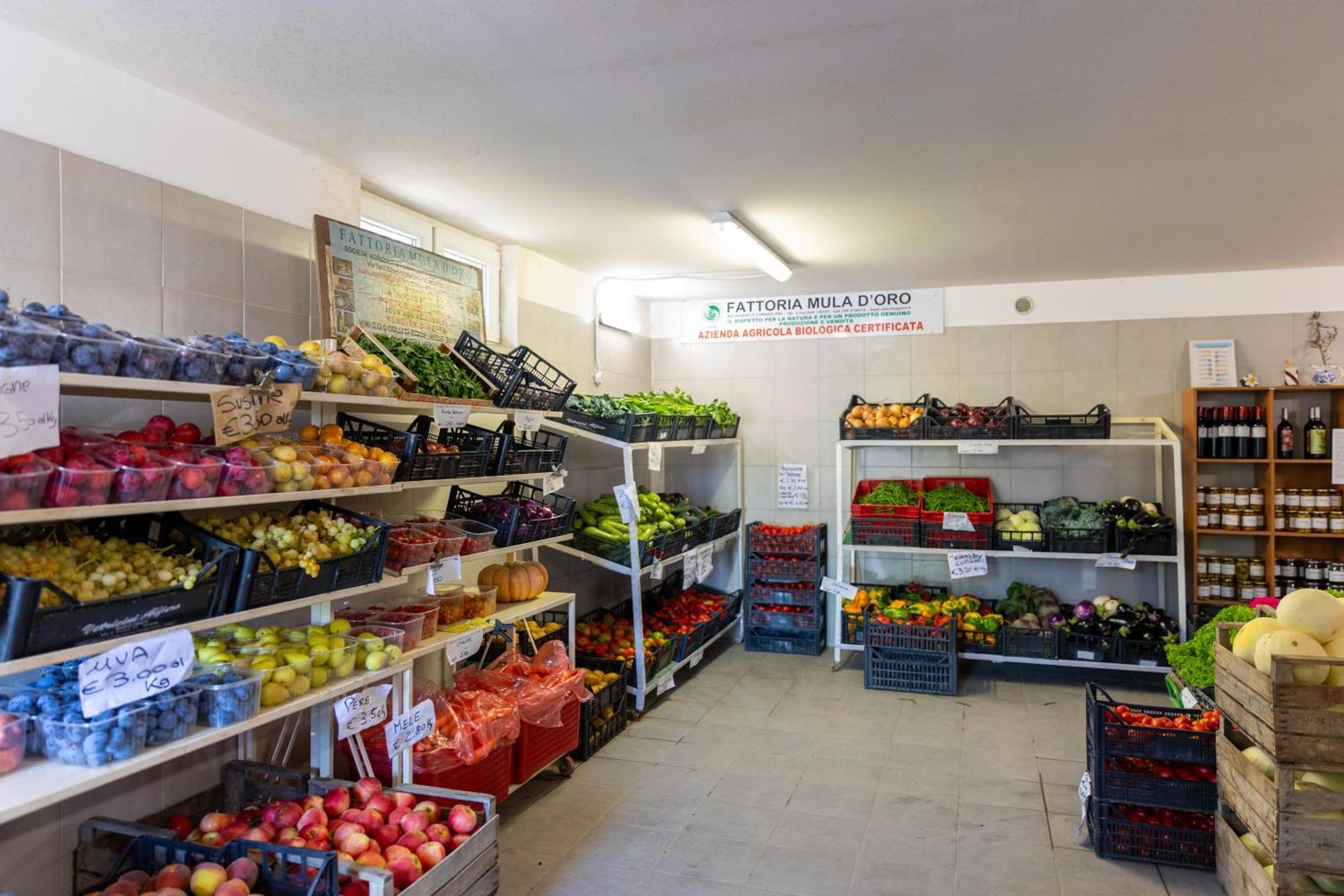 Bio Fattoria Mula D'oro - Biofattoriamuladoro It - Organic Food, Nature & Relax Apartment Mulazzano