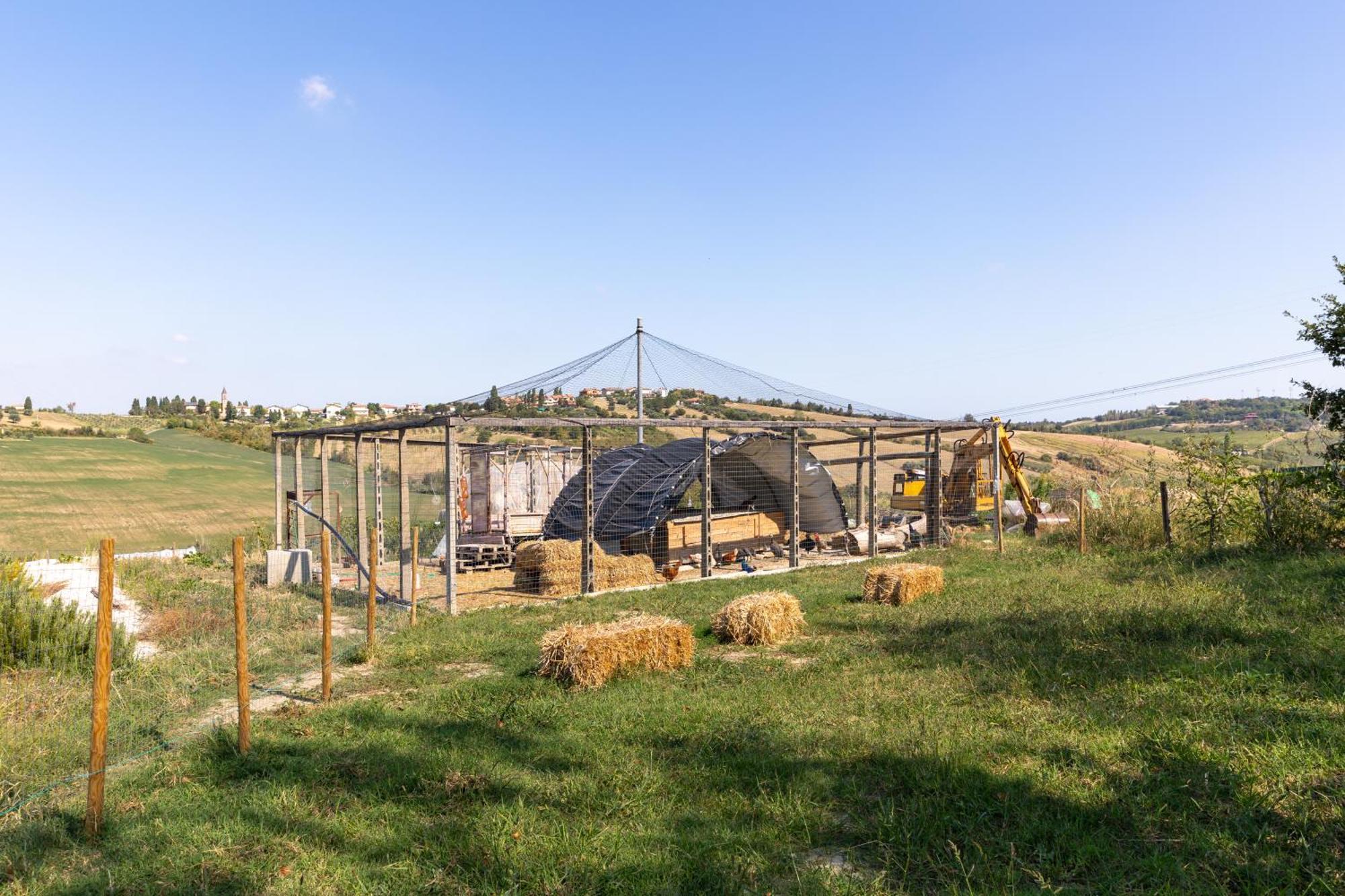 Apartment Bio Fattoria Mula D'oro - Biofattoriamuladoro It - Organic Food, Nature & Relax