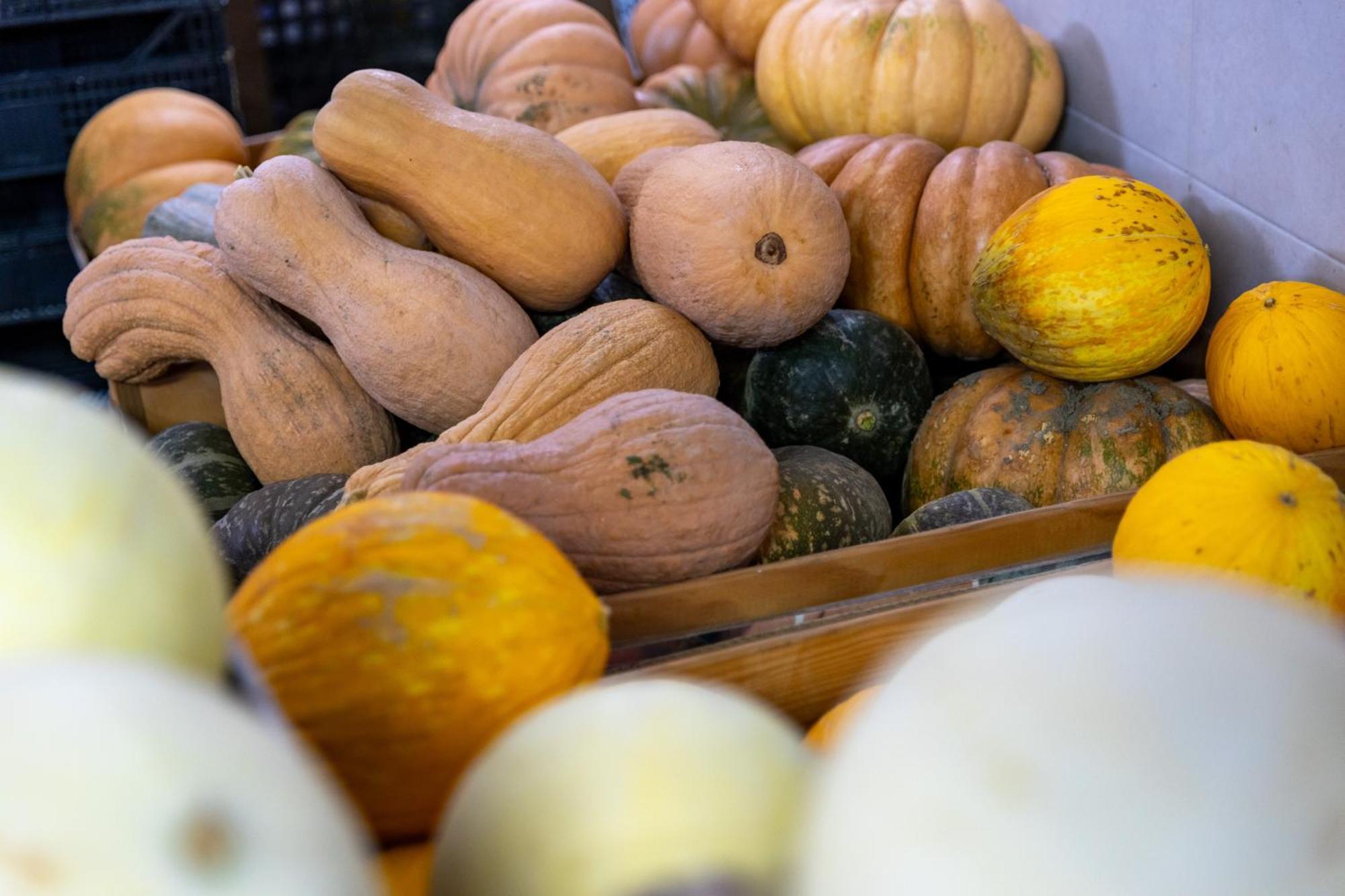Bio Fattoria Mula D'oro - Biofattoriamuladoro It - Organic Food, Nature & Relax