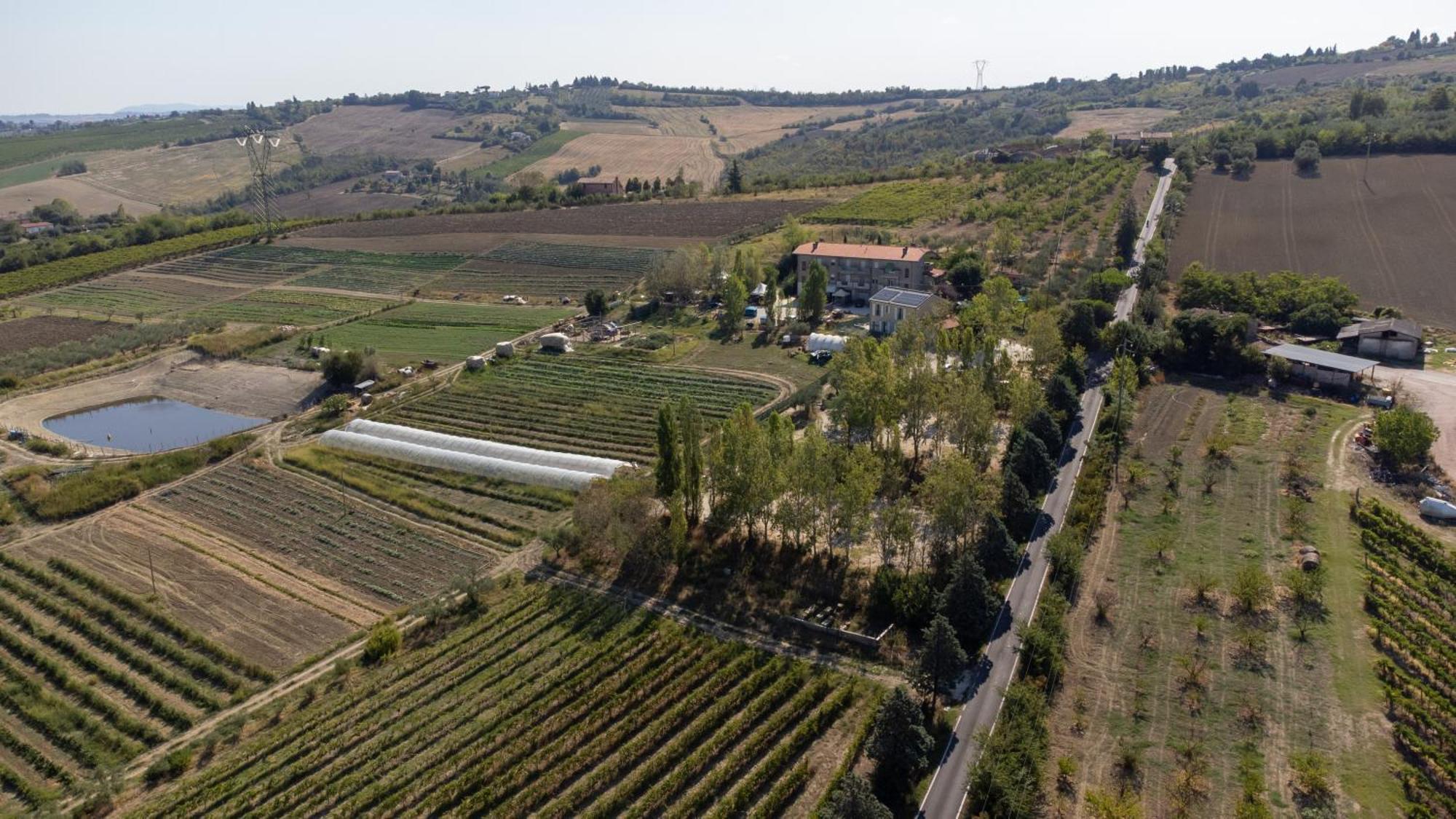Bio Fattoria Mula D'oro - Biofattoriamuladoro It - Organic Food, Nature & Relax