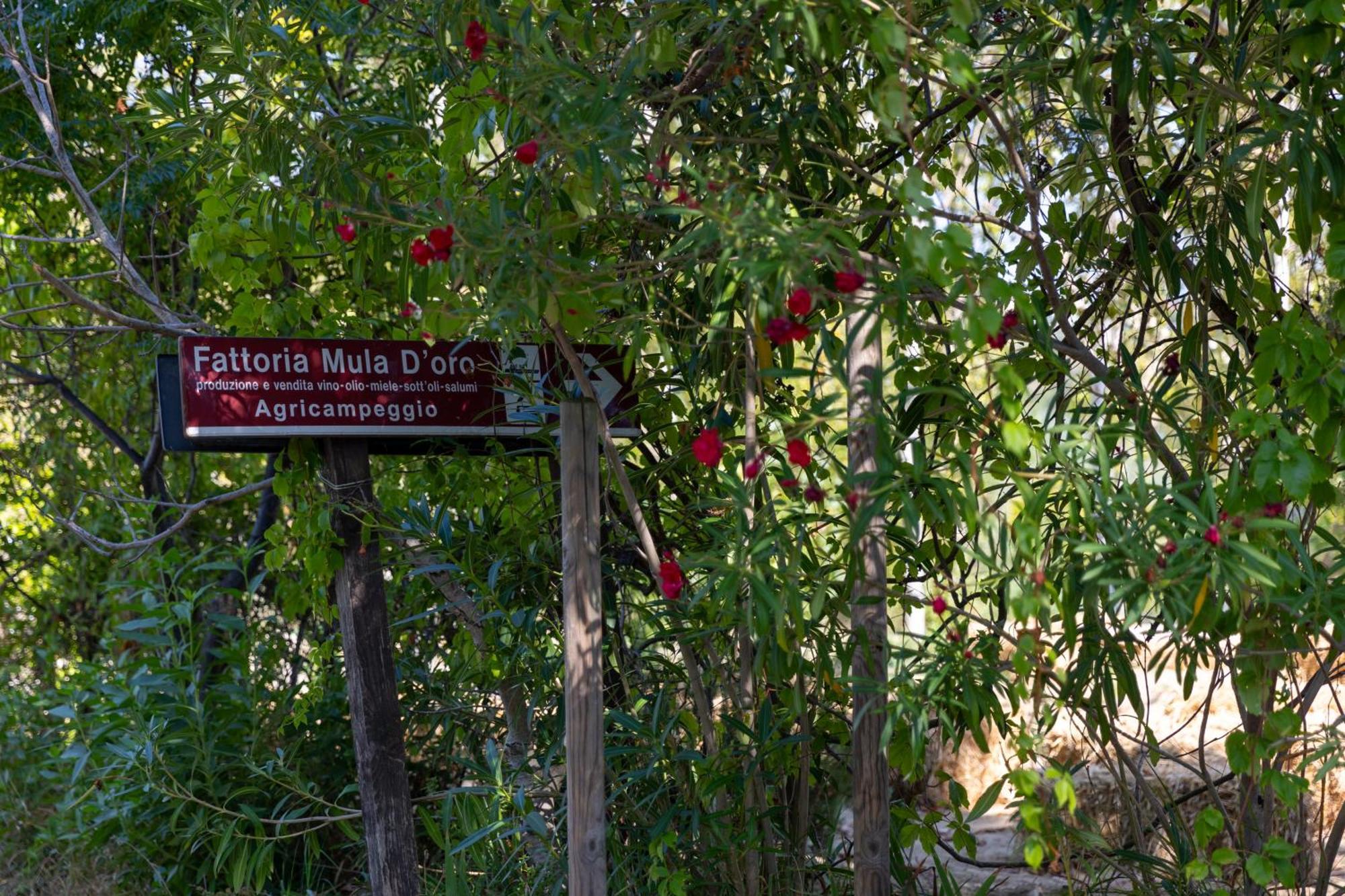 Bio Fattoria Mula D'oro - Biofattoriamuladoro It - Organic Food, Nature & Relax Apartment *
