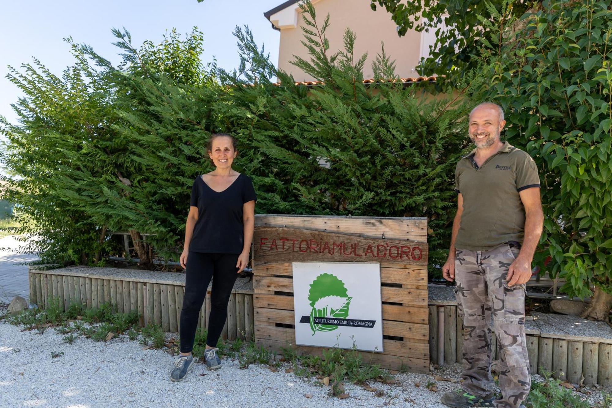 Bio Fattoria Mula D'oro - Biofattoriamuladoro It - Organic Food, Nature & Relax Apartment *