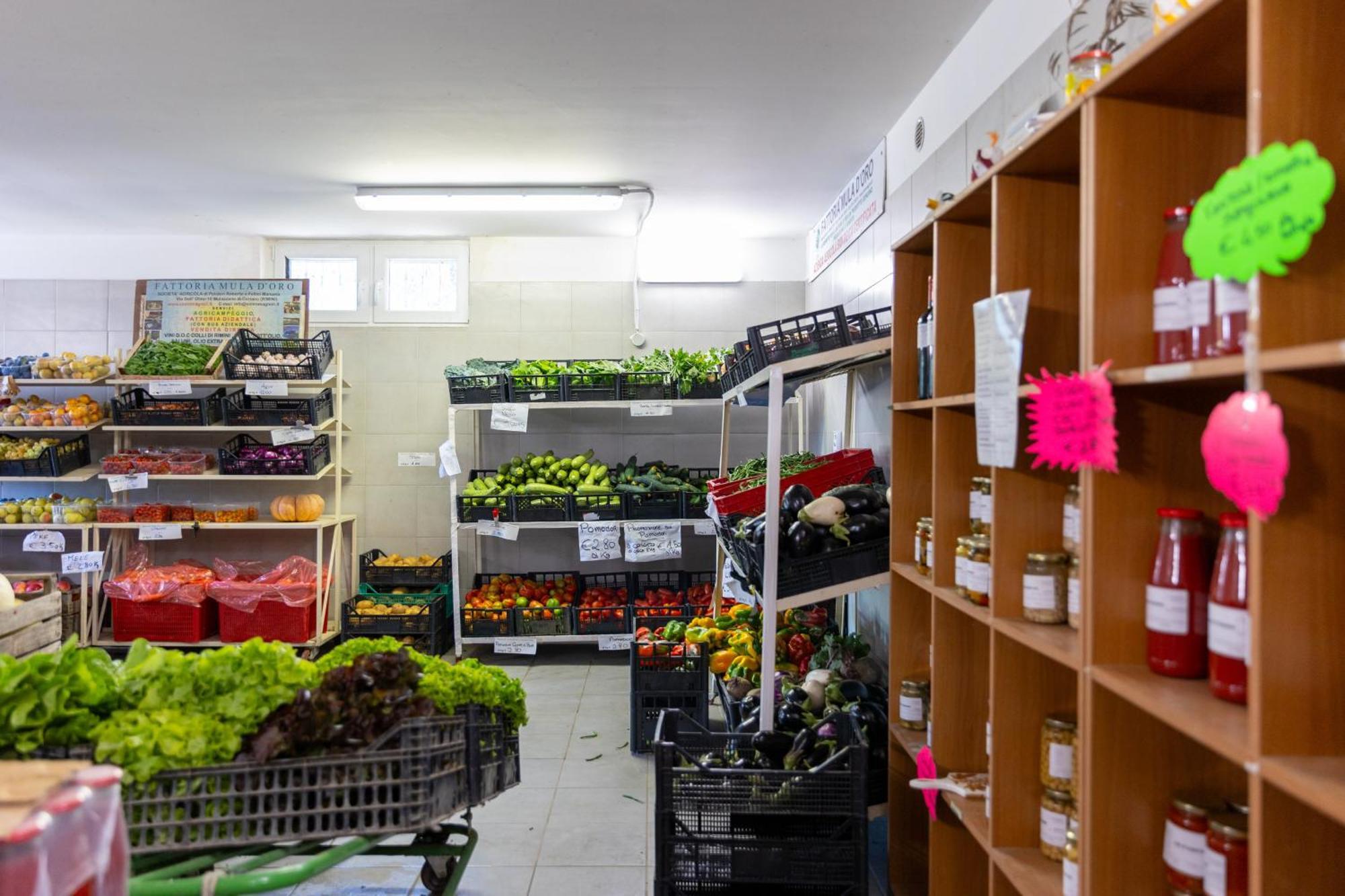Bio Fattoria Mula D'oro - Biofattoriamuladoro It - Organic Food, Nature & Relax Apartment