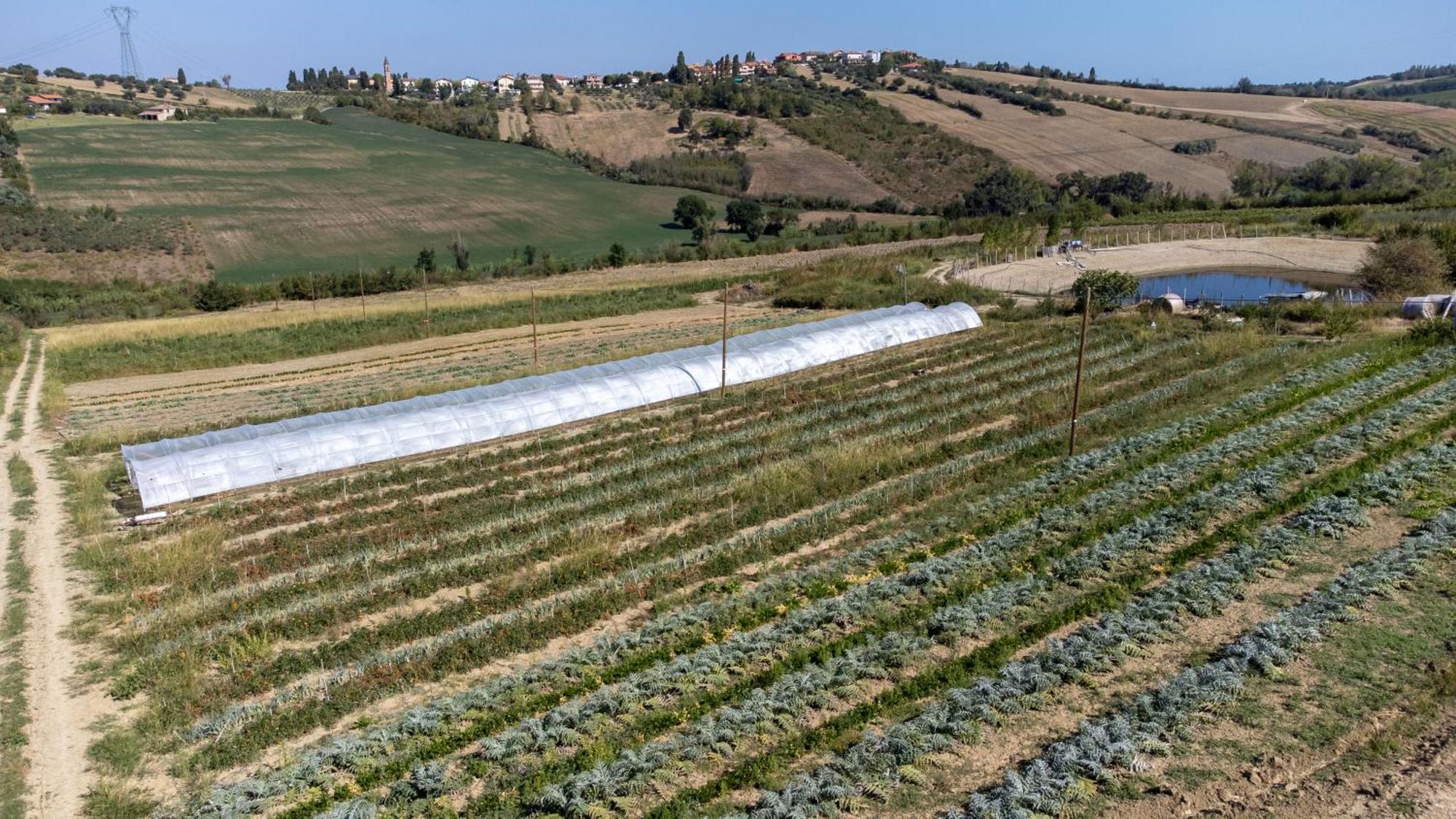 Apartment Bio Fattoria Mula D'oro - Biofattoriamuladoro It - Organic Food, Nature & Relax