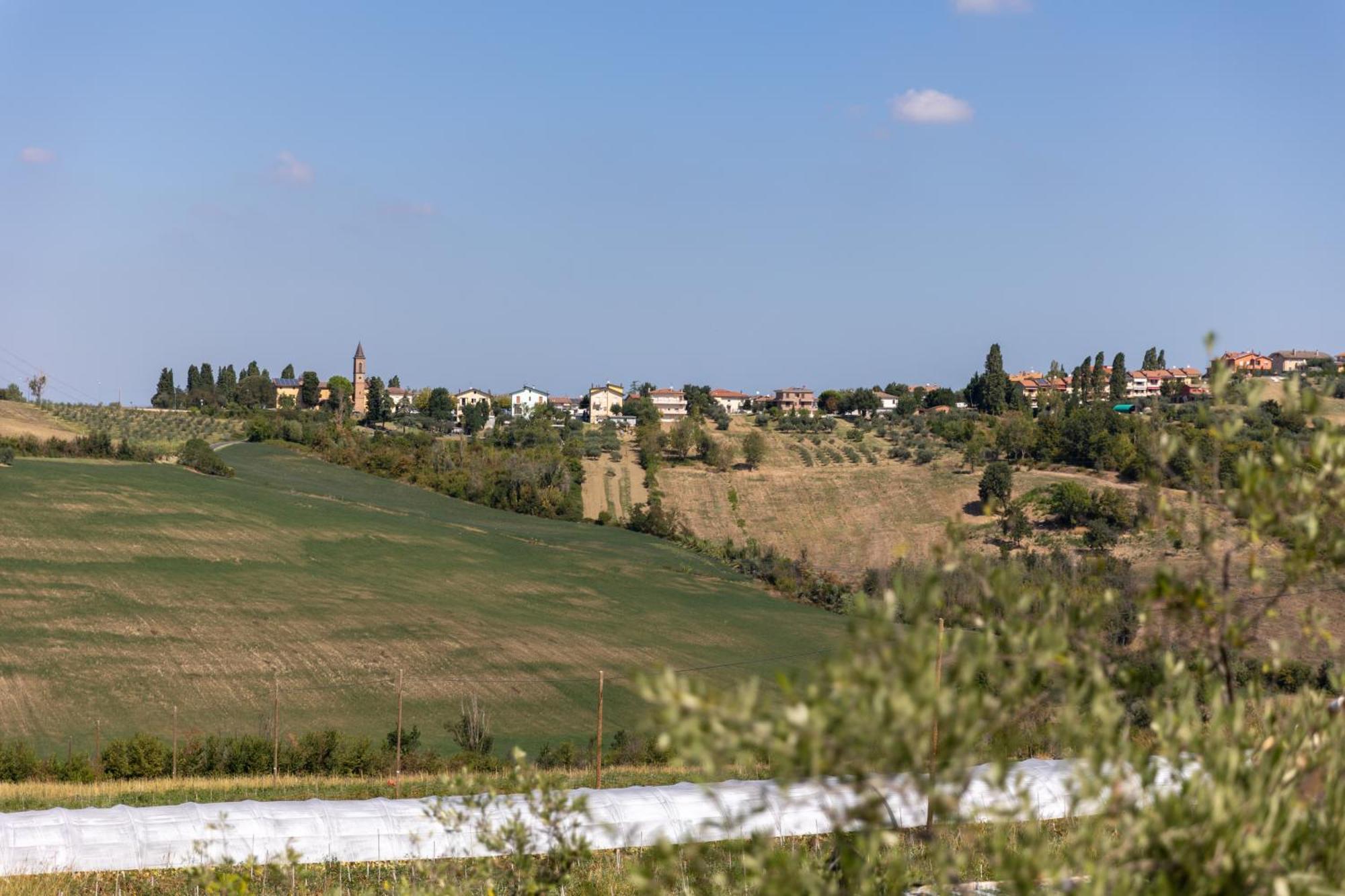 Bio Fattoria Mula D'oro - Biofattoriamuladoro It - Organic Food, Nature & Relax Apartment Mulazzano