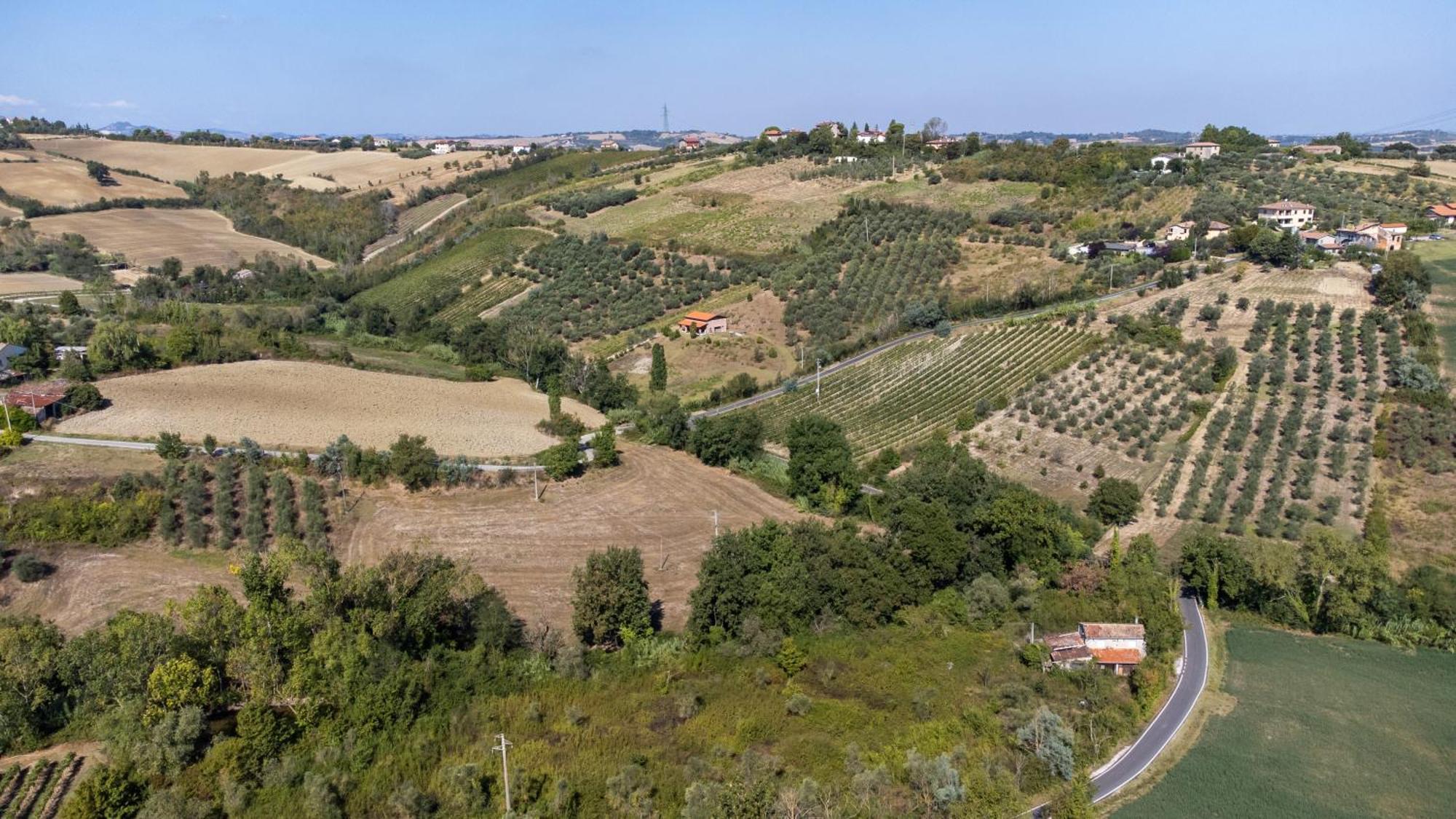 Bio Fattoria Mula D'oro - Biofattoriamuladoro It - Organic Food, Nature & Relax Mulazzano