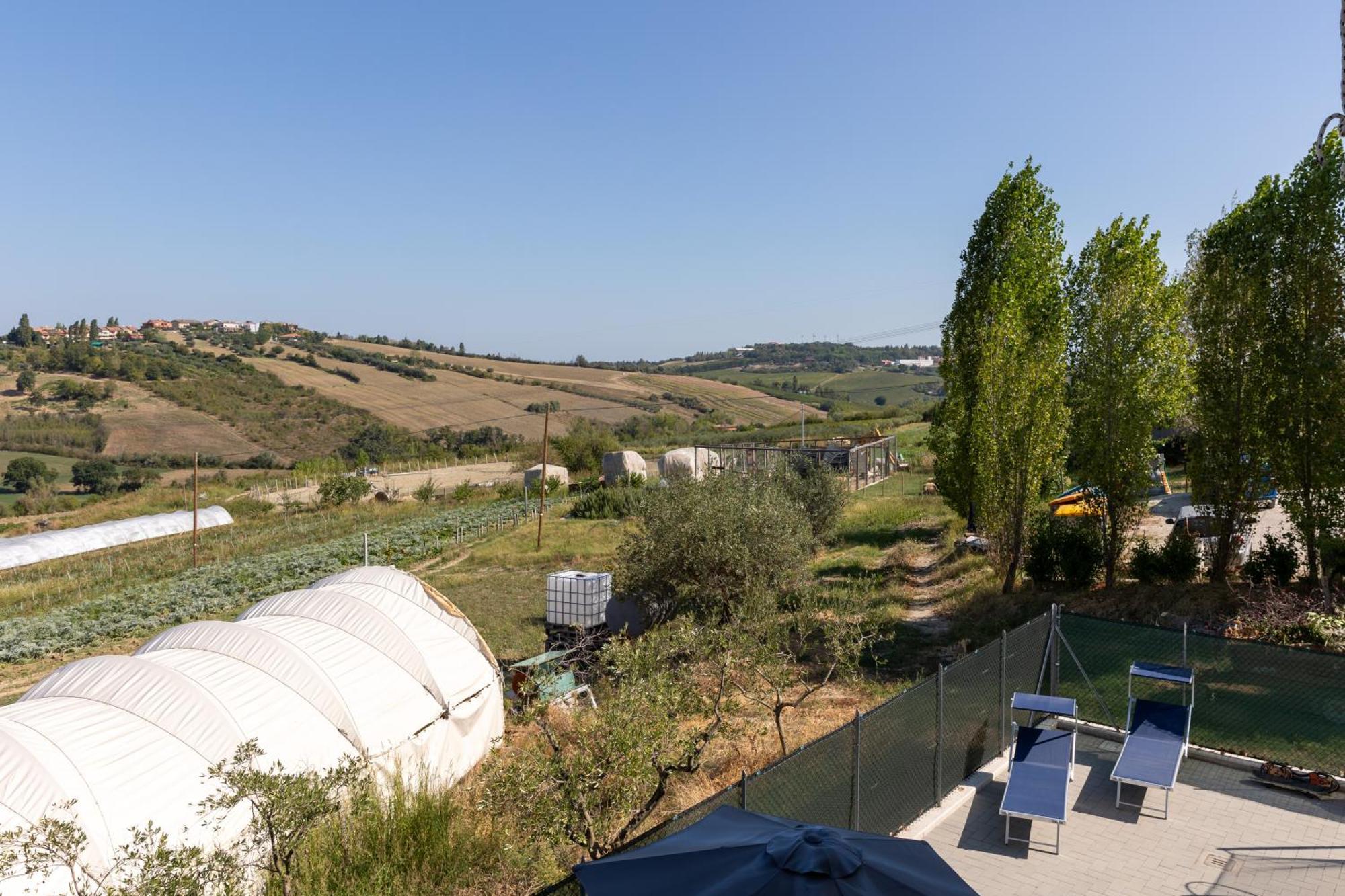 Apartment Bio Fattoria Mula D'oro - Biofattoriamuladoro It - Organic Food, Nature & Relax *