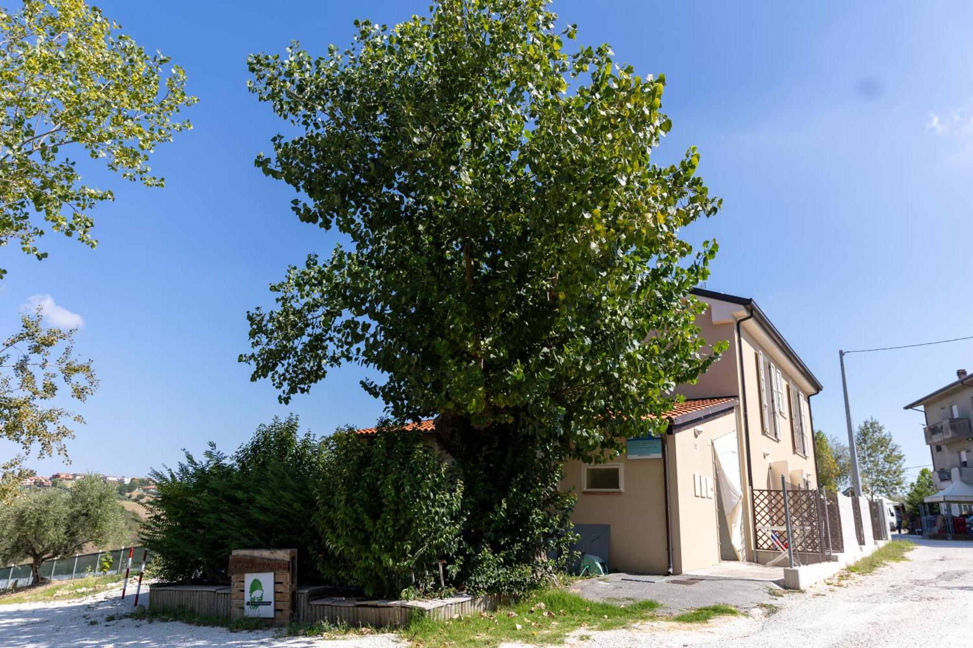 Bio Fattoria Mula D'oro - Biofattoriamuladoro It - Organic Food, Nature & Relax Mulazzano