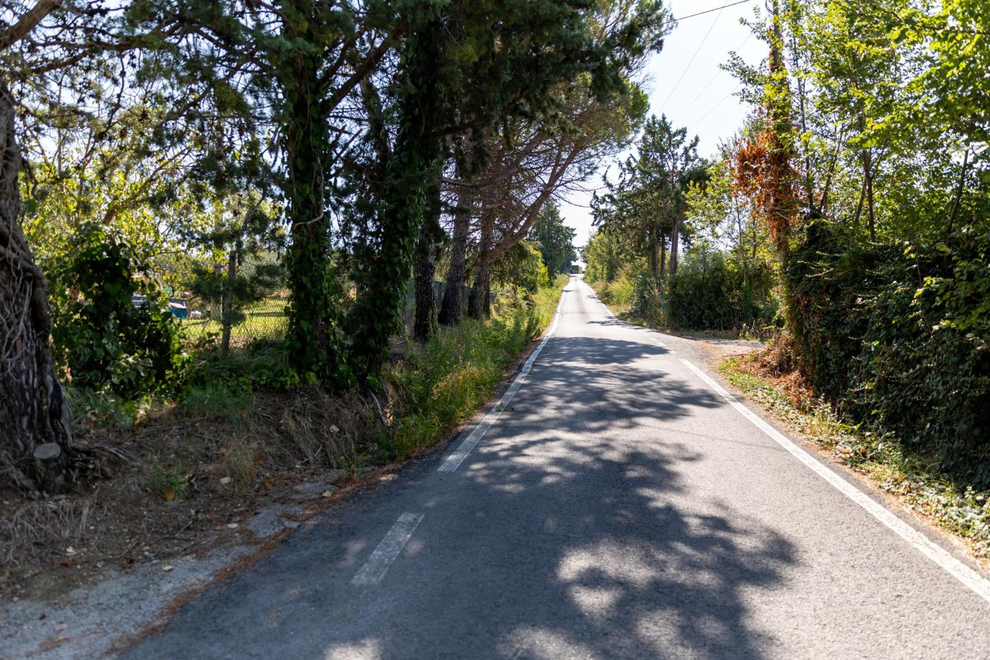 Bio Fattoria Mula D'oro - Biofattoriamuladoro It - Organic Food, Nature & Relax Apartment